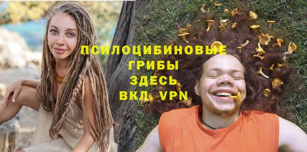 прущие грибы Верея