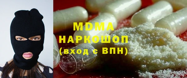 прущие грибы Верея