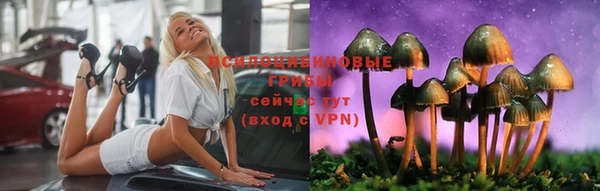 герыч Верхний Тагил