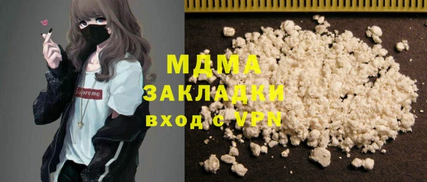 прущие грибы Верея