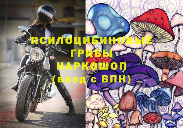прущие грибы Верея