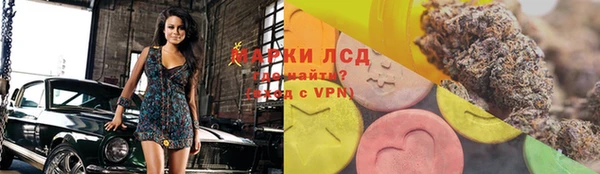 прущие грибы Верея